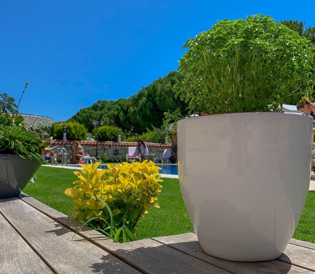 Salbakos Herakleia Boutique Hotel Alaçatı Eksteriør billede