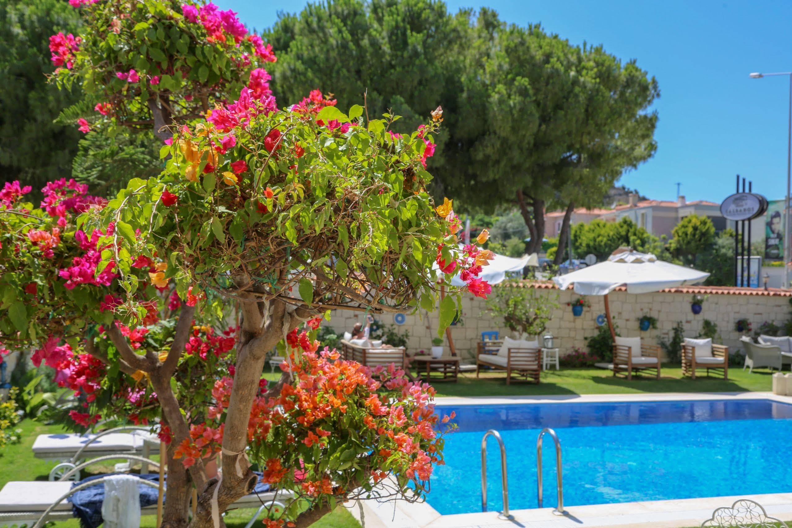 Salbakos Herakleia Boutique Hotel Alaçatı Eksteriør billede